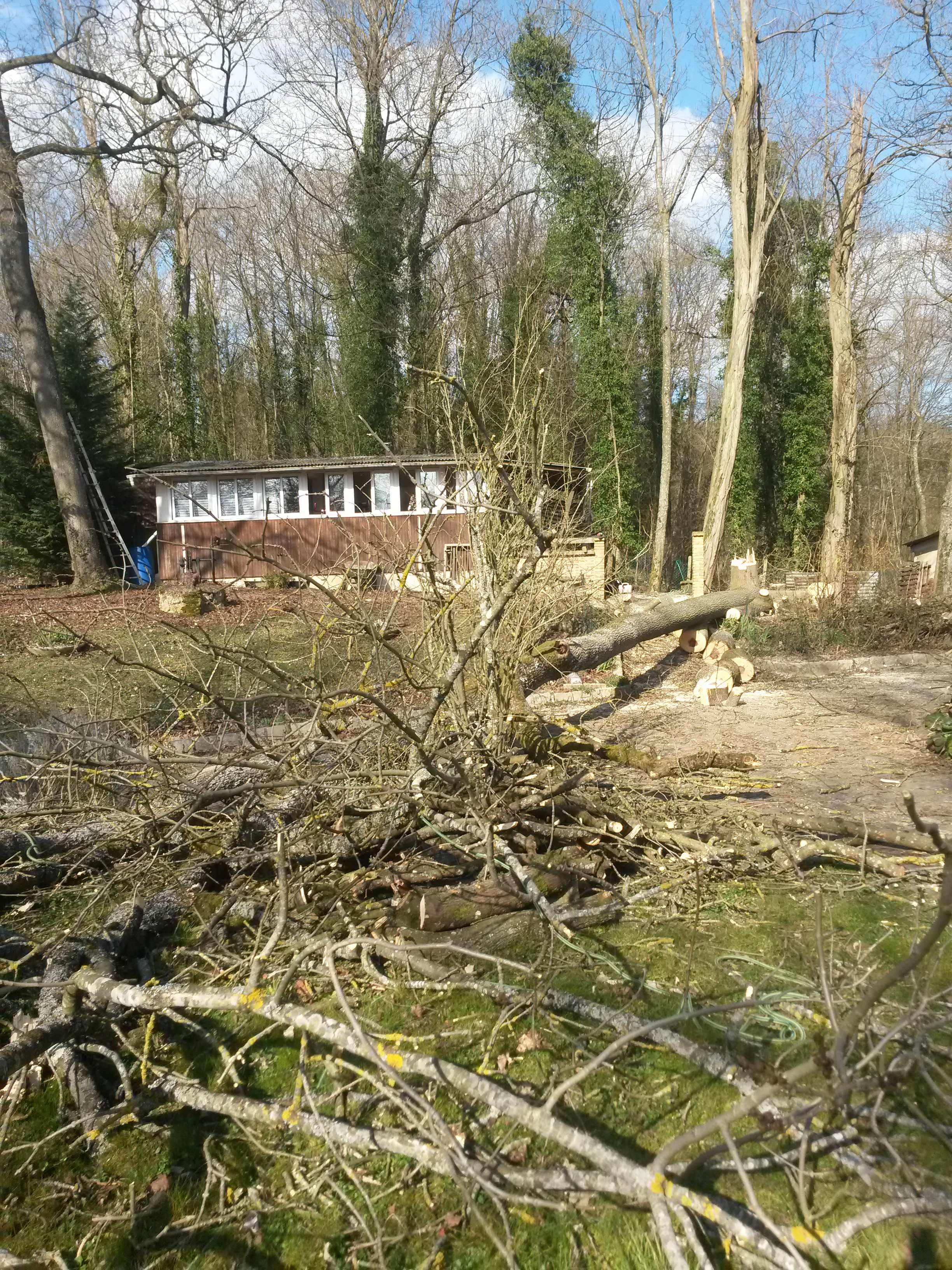 elagage abattage La Ferté sous Jouarre 77260